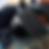 Sedena.net Collection thumbnail