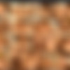 dpfanatics.com 2007-07-19 to 2012-03-03 thumbnail